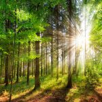 تولید انرژی پاک از هوا و نور خورشید